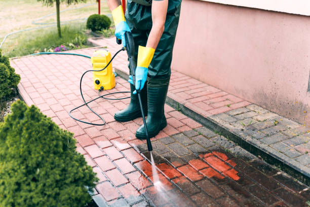 Professional Pressure Washing in Montrose, VA